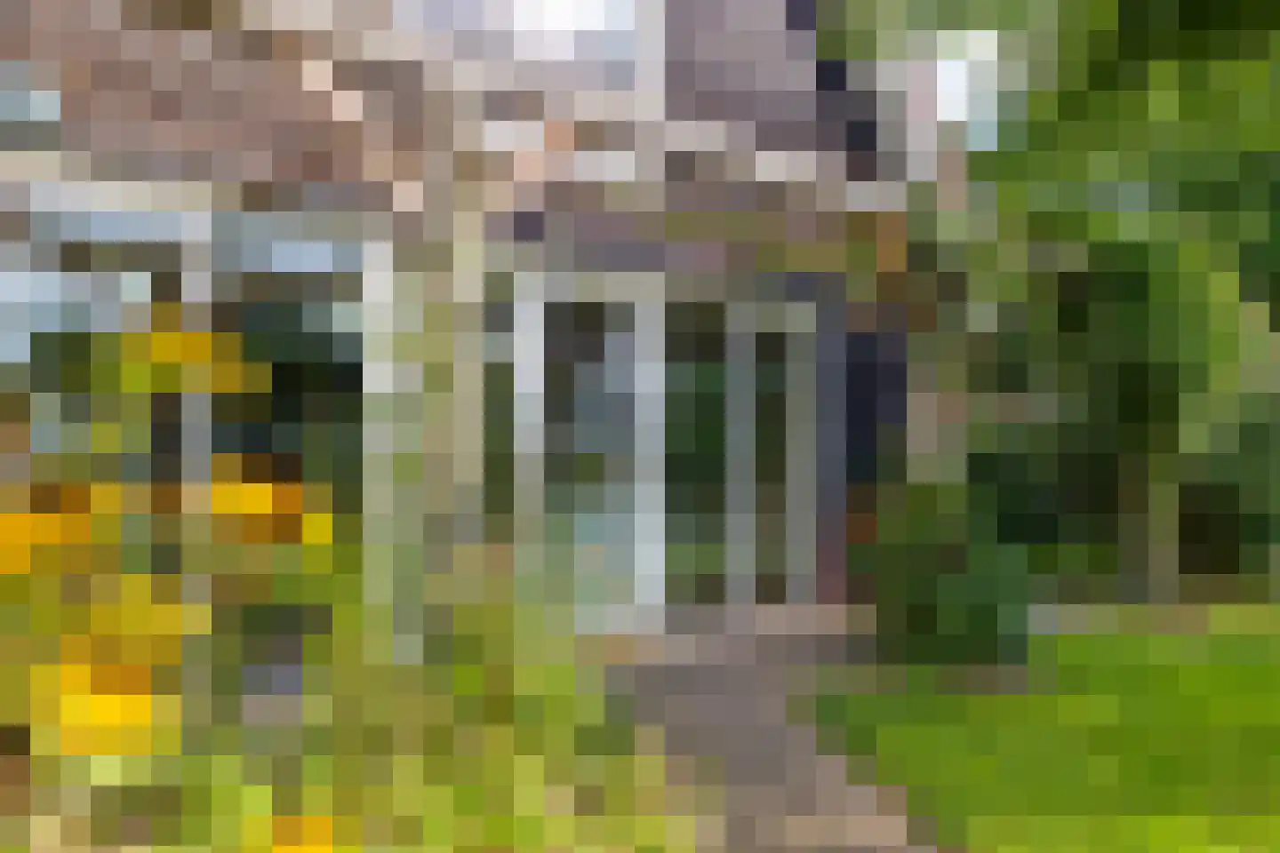 Grensweg 3 Lievelde thumbnail 51