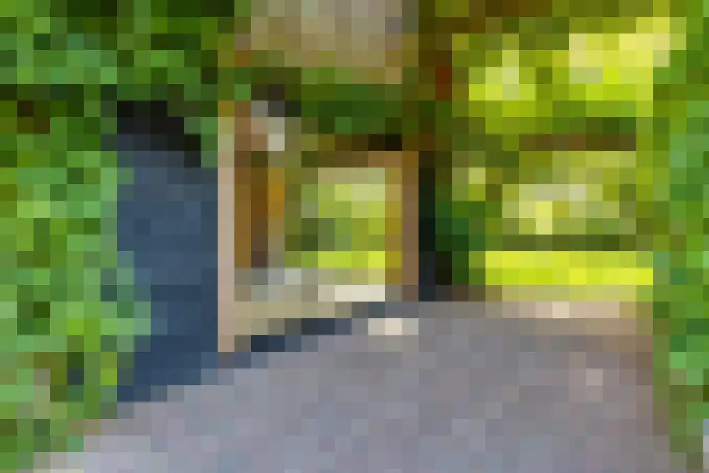Grensweg 3 Lievelde thumbnail 54