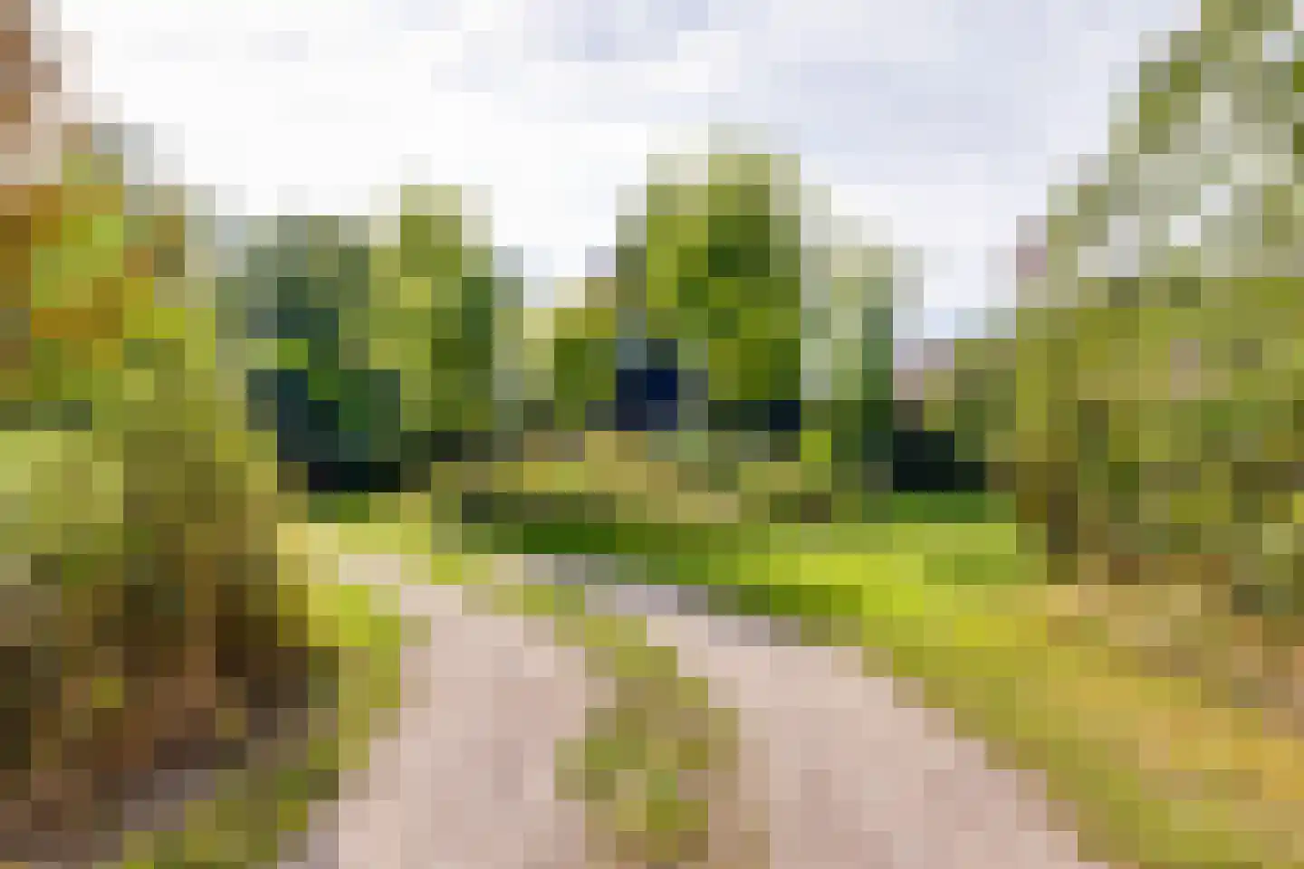 Grensweg 3 Lievelde thumbnail 55
