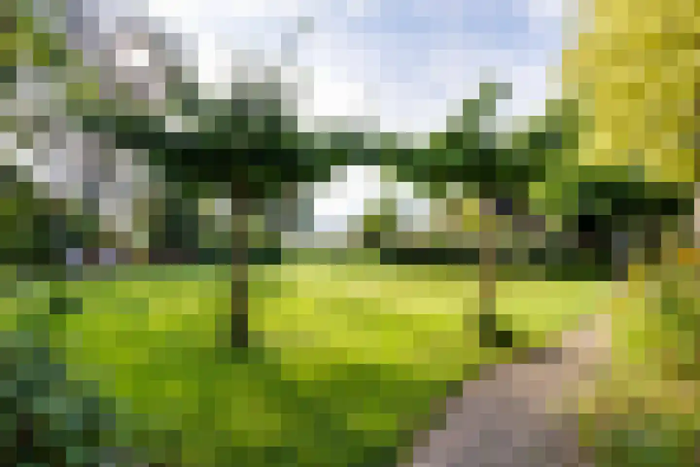 Grensweg 3 Lievelde thumbnail 56