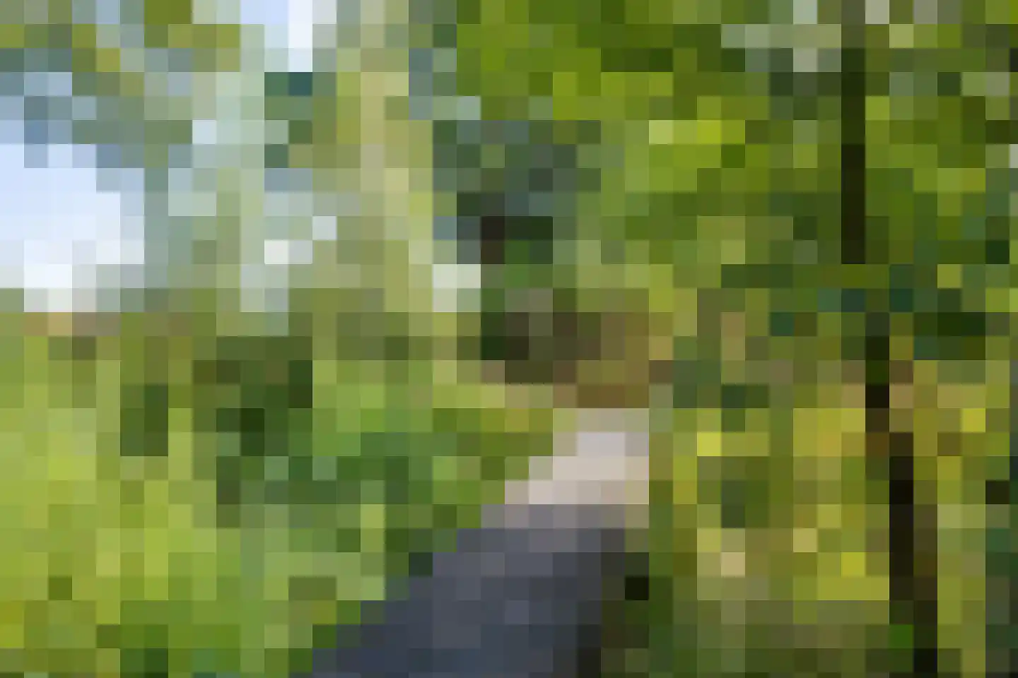 Grensweg 3 Lievelde thumbnail 57