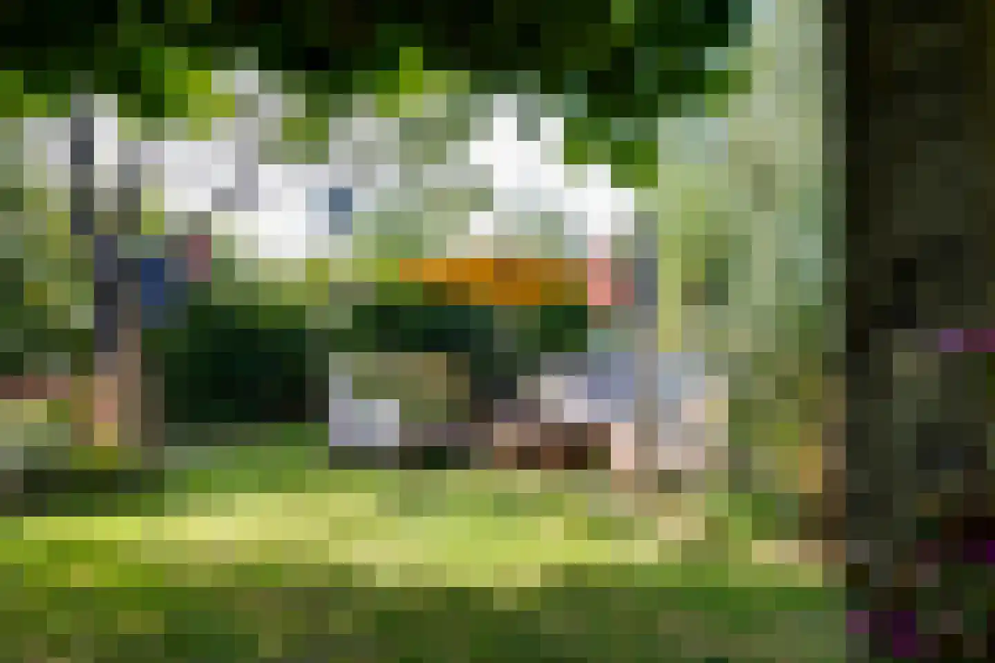 Grensweg 3 Lievelde thumbnail 59