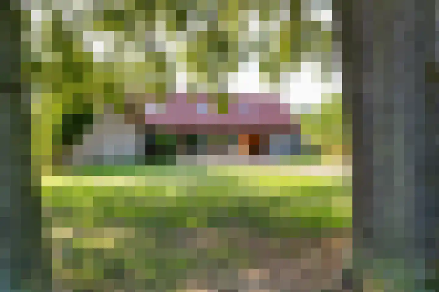 Grensweg 3 Lievelde thumbnail 60