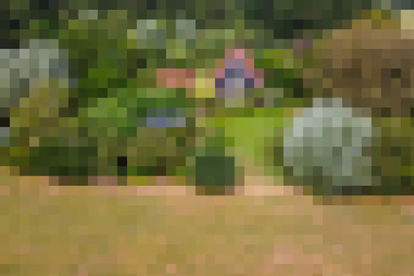 Grensweg 3 Lievelde thumbnail 61