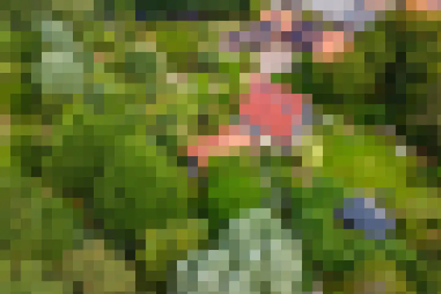 Grensweg 3 Lievelde thumbnail 62