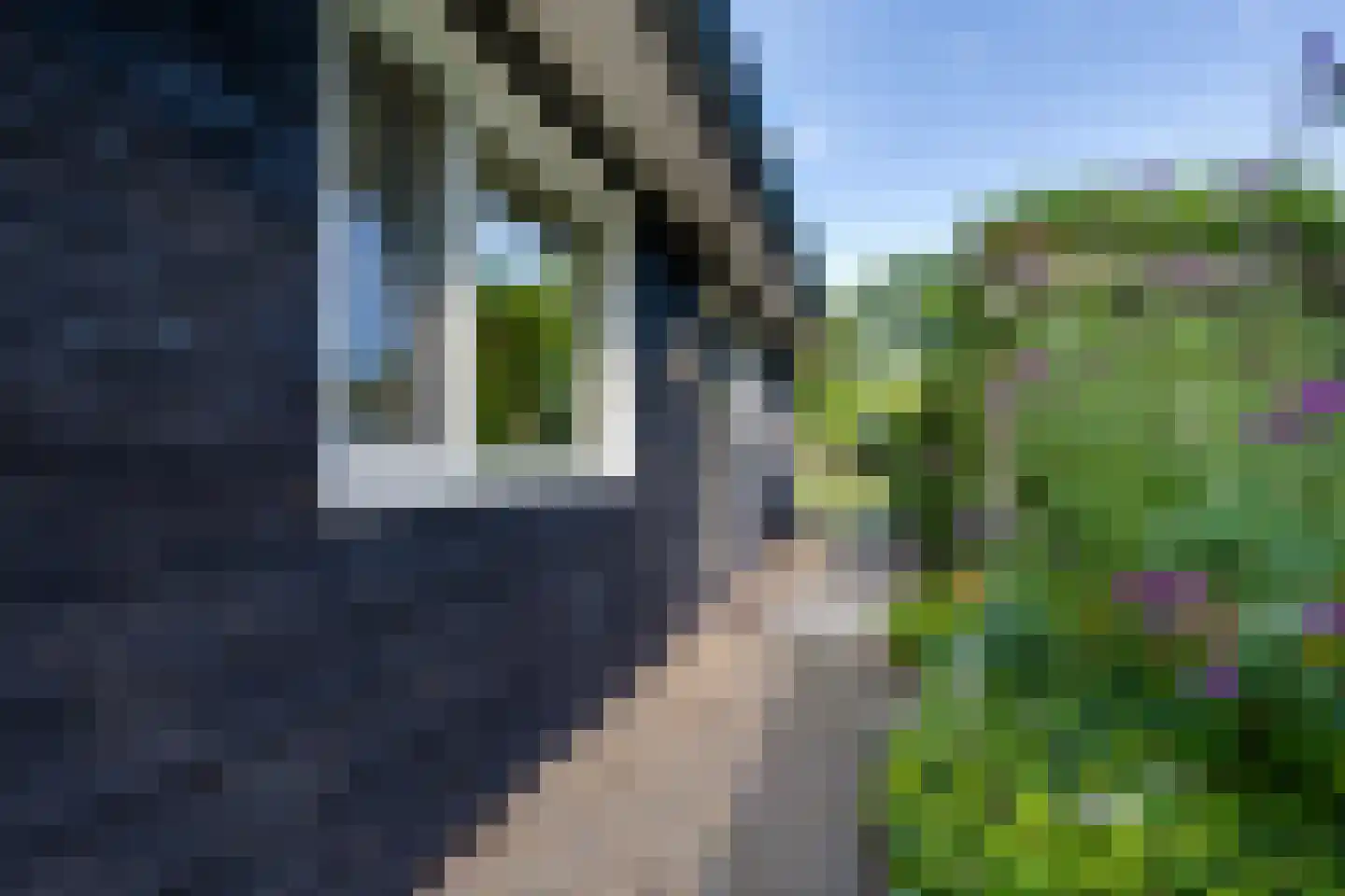 Grensweg 3 Lievelde thumbnail 65