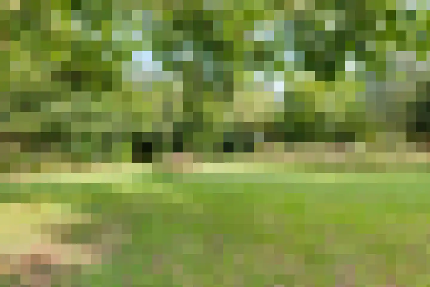 Grensweg 3 Lievelde thumbnail 66