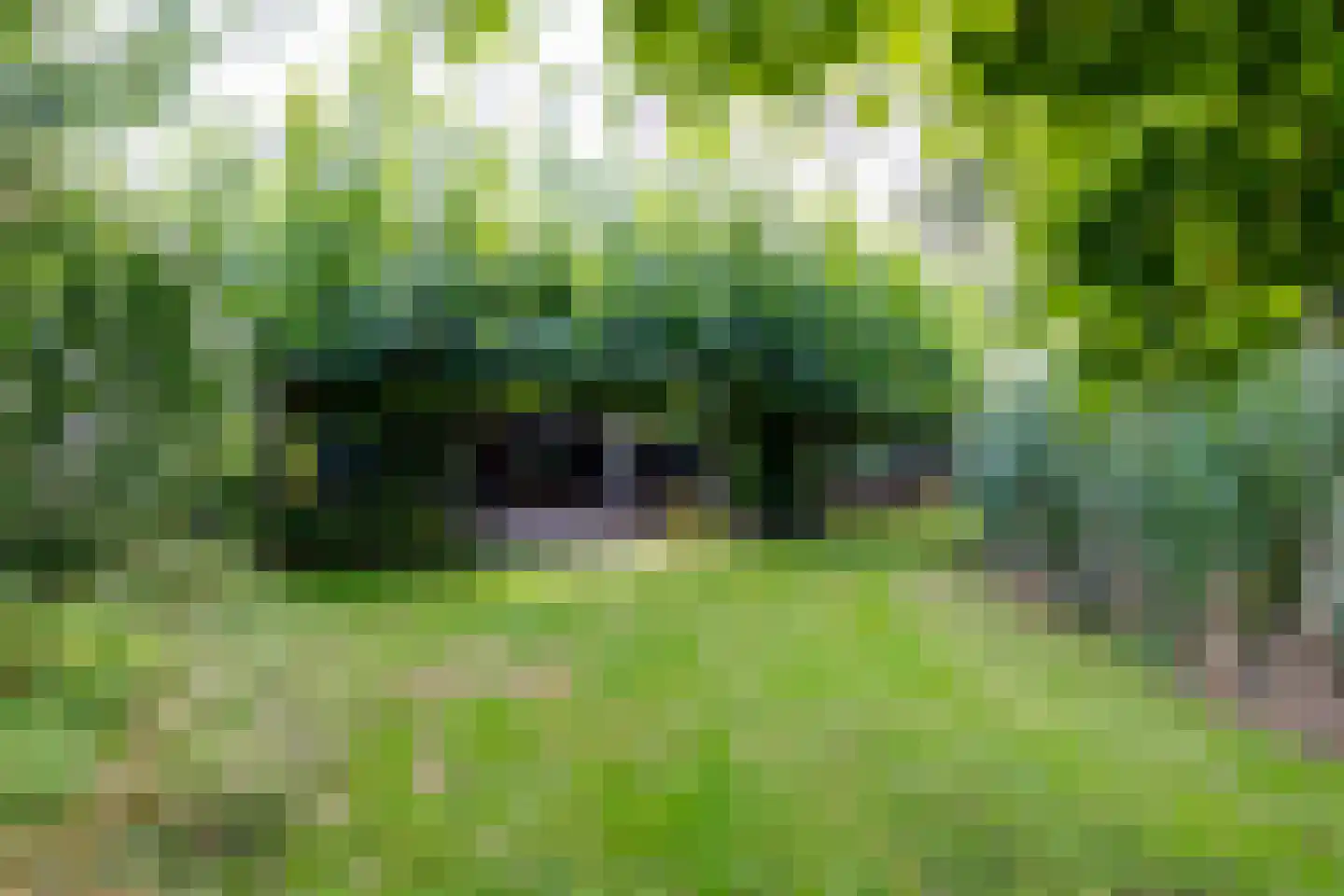 Grensweg 3 Lievelde thumbnail 68