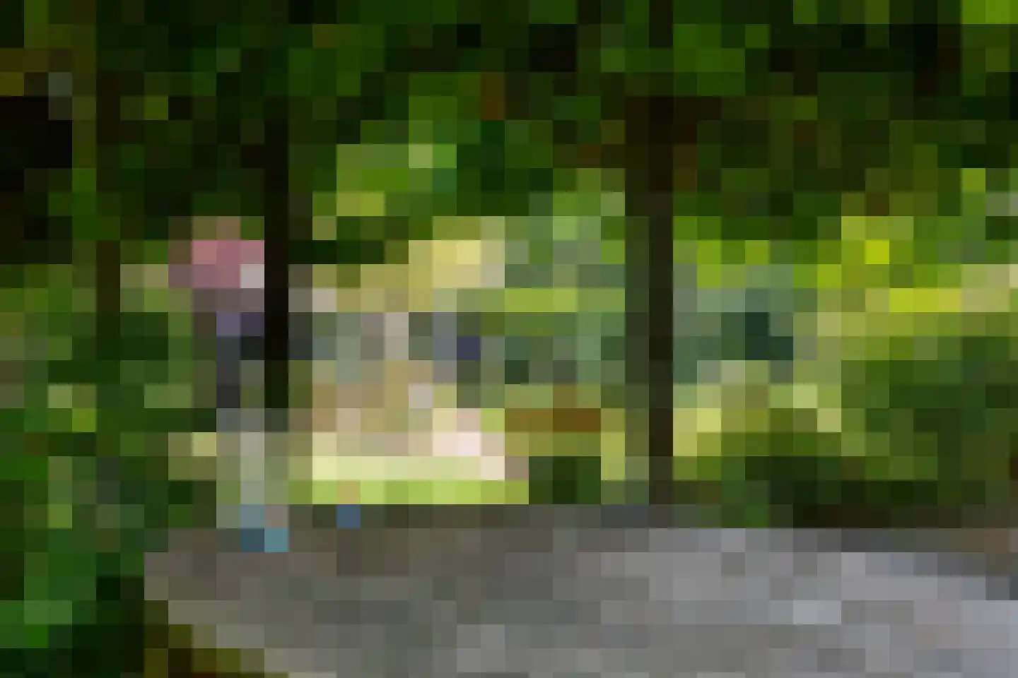Grensweg 3 Lievelde thumbnail 69