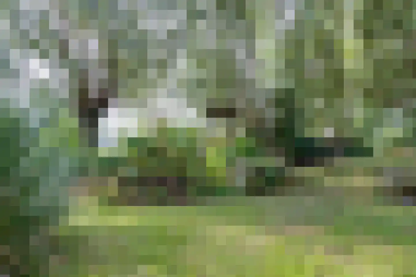 Grensweg 3 Lievelde thumbnail 70