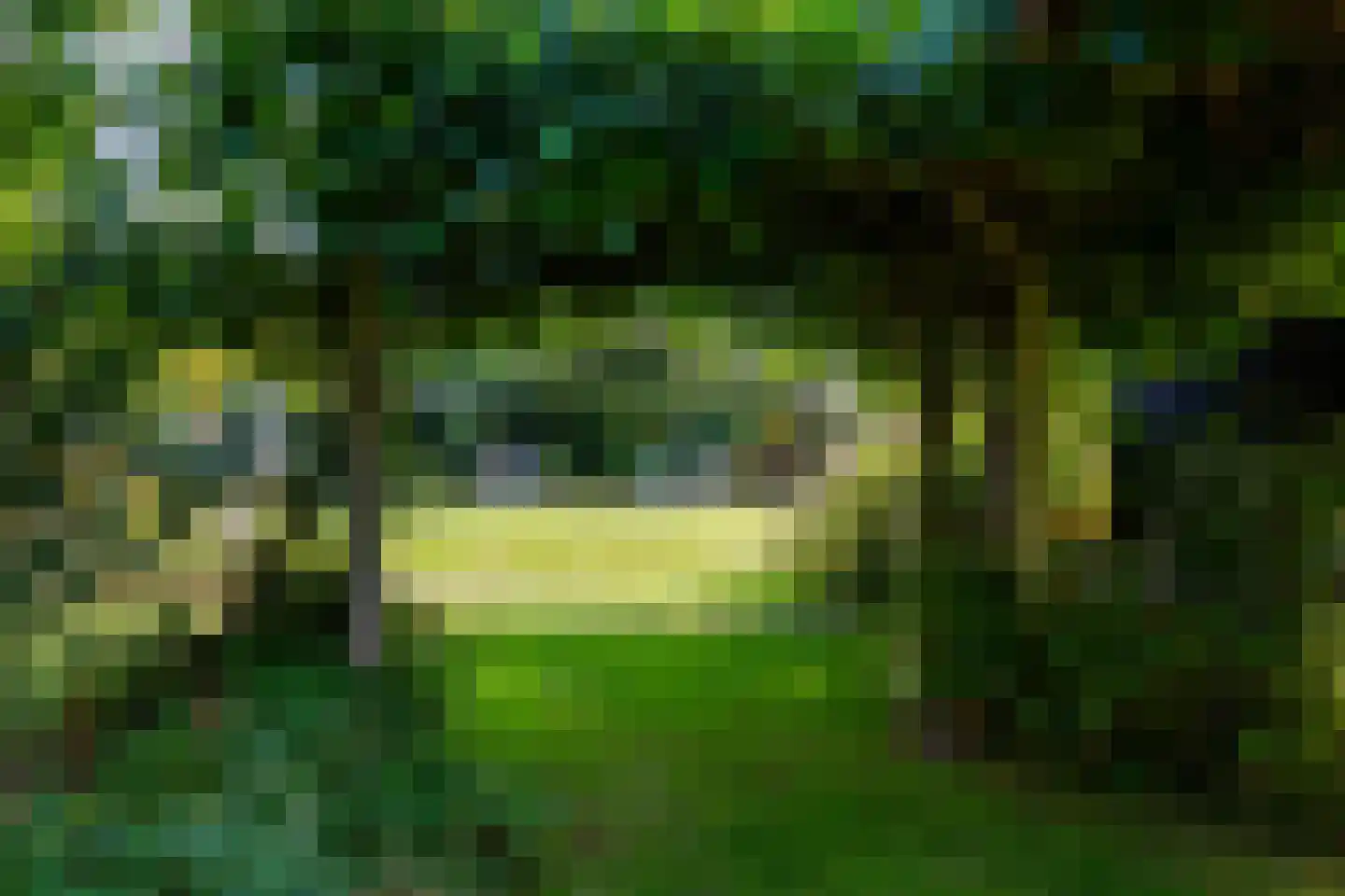 Grensweg 3 Lievelde thumbnail 72