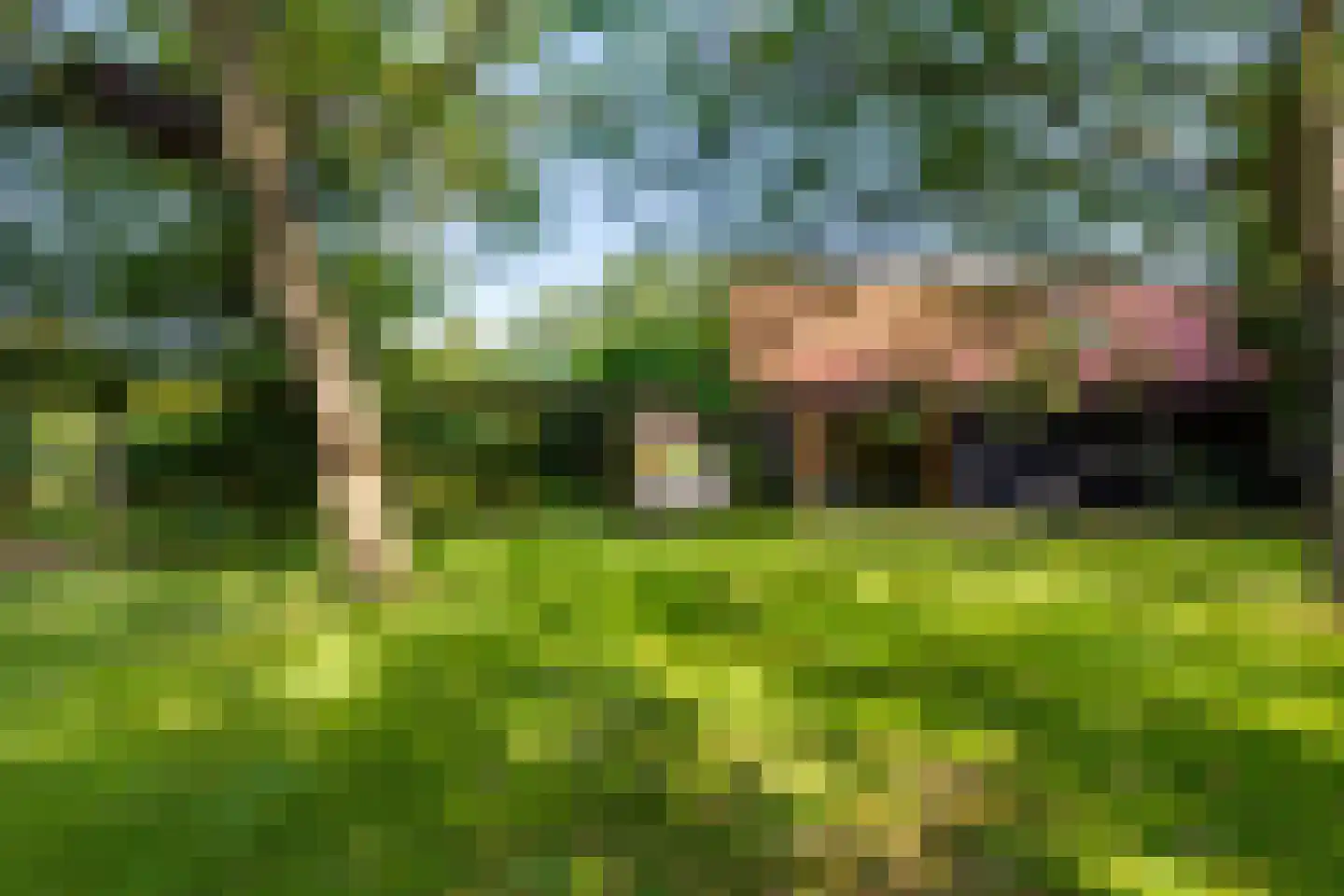 Grensweg 3 Lievelde thumbnail 73
