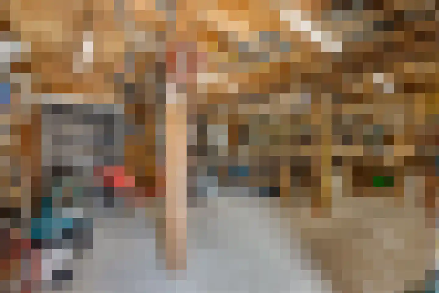 Grensweg 3 Lievelde thumbnail 75