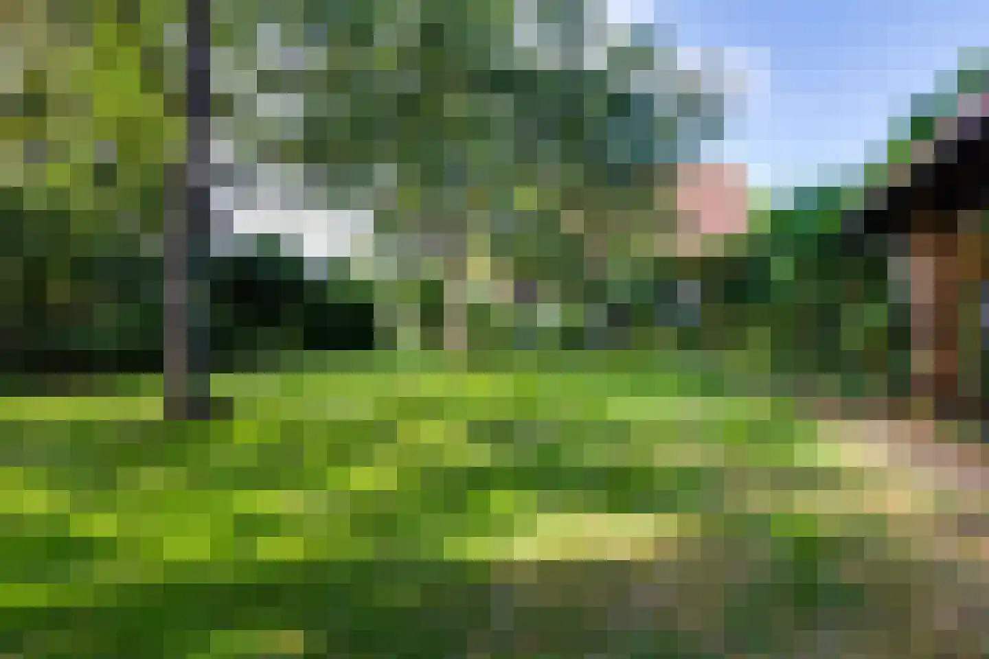 Grensweg 3 Lievelde thumbnail 79