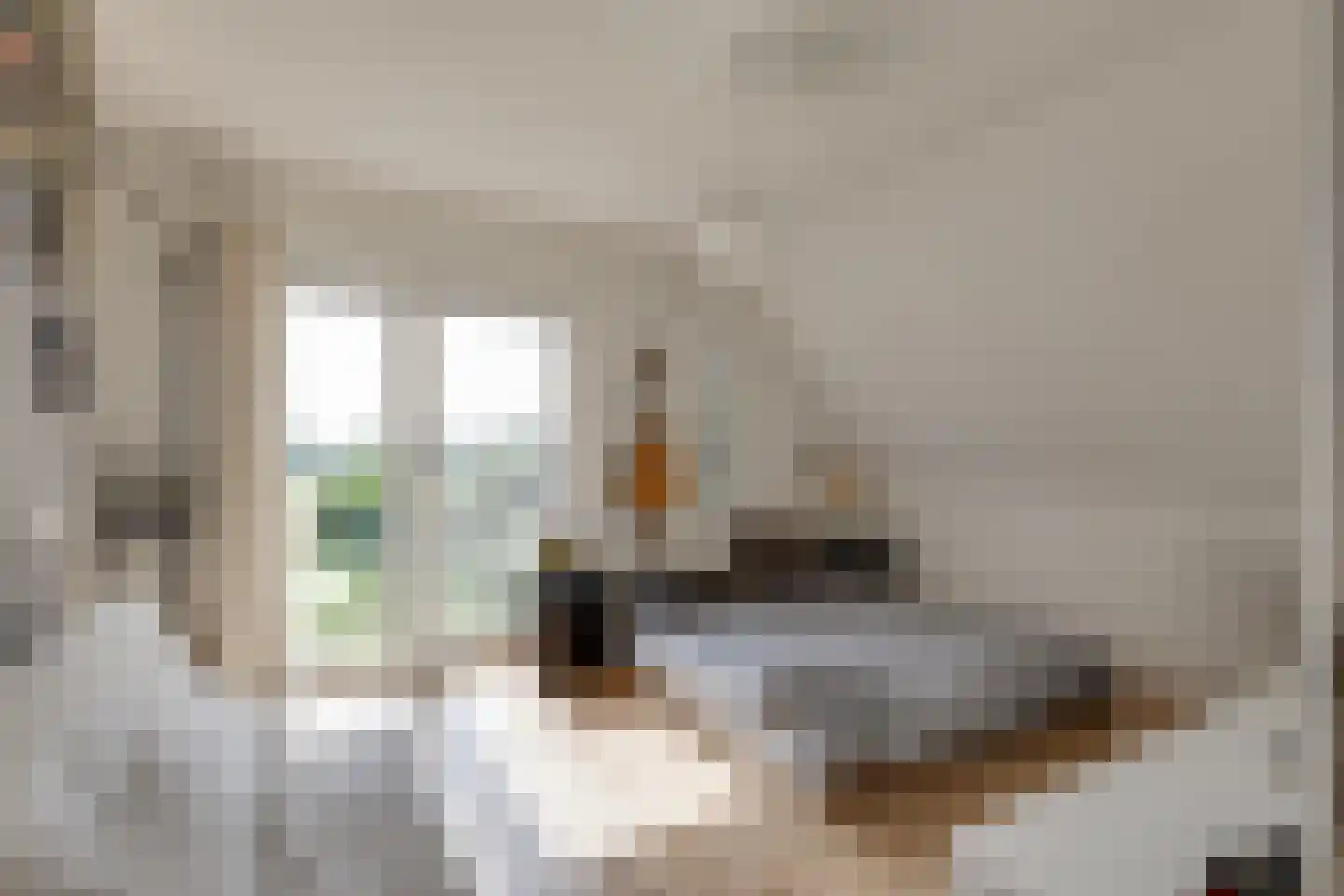 Grensweg 3 Lievelde thumbnail 8