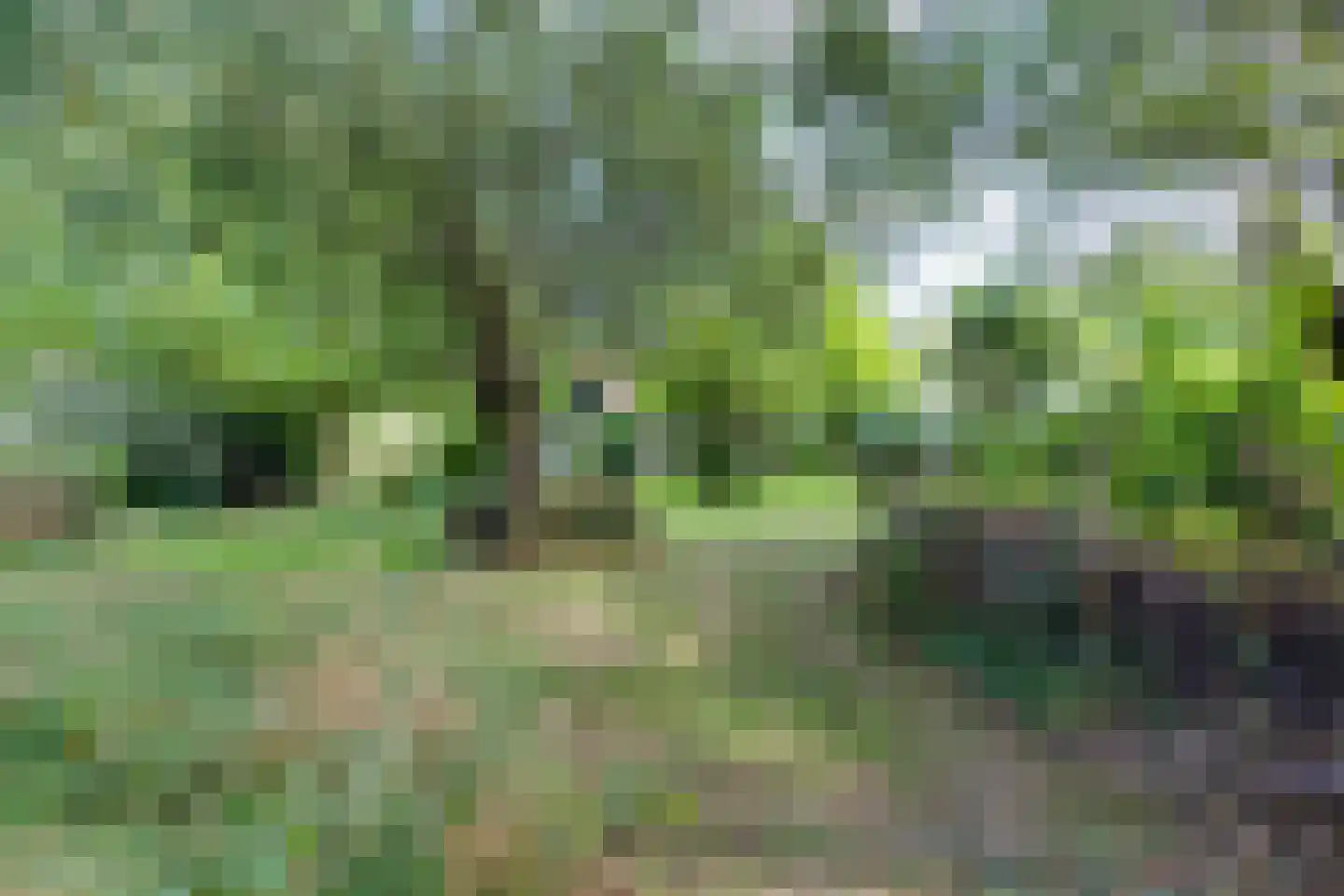 Grensweg 3 Lievelde thumbnail 87