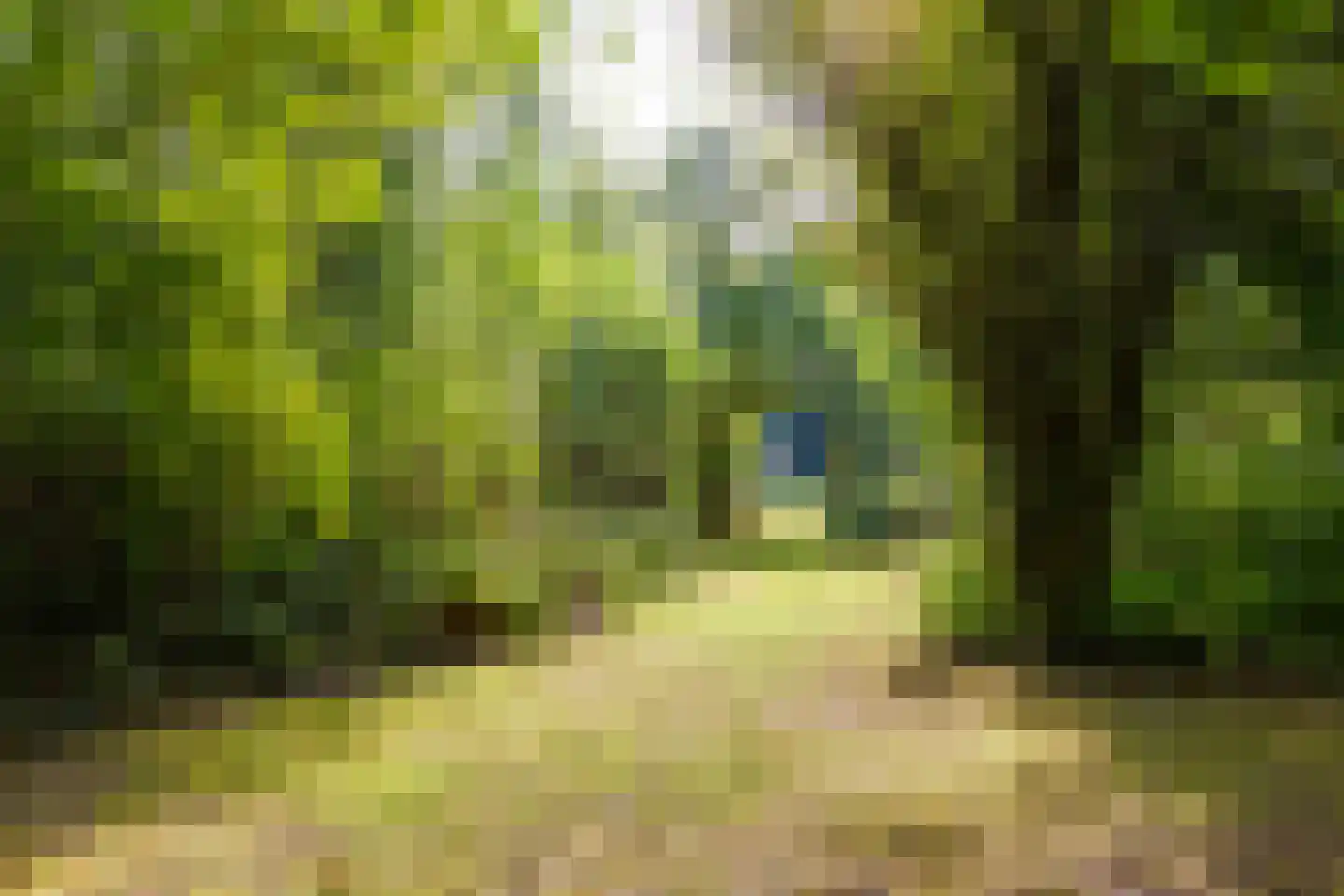 Grensweg 3 Lievelde thumbnail 88