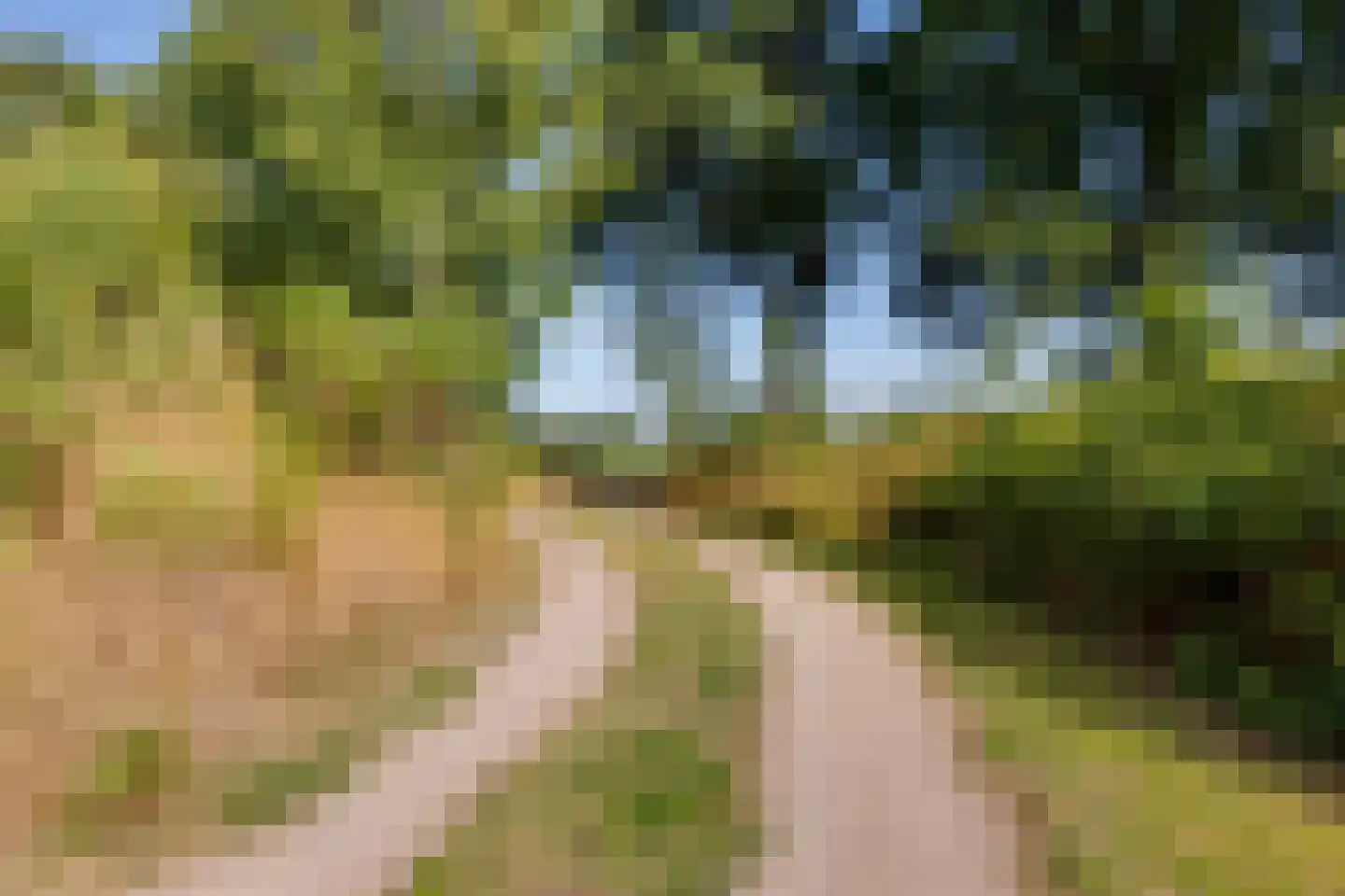 Grensweg 3 Lievelde thumbnail 89