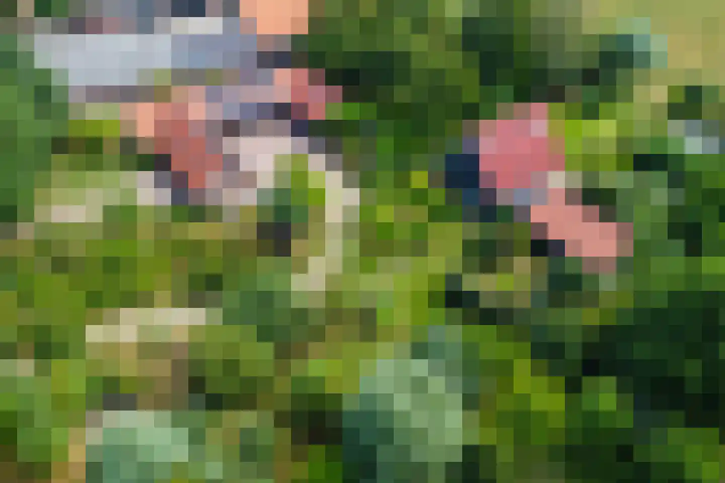 Grensweg 3 Lievelde thumbnail 9