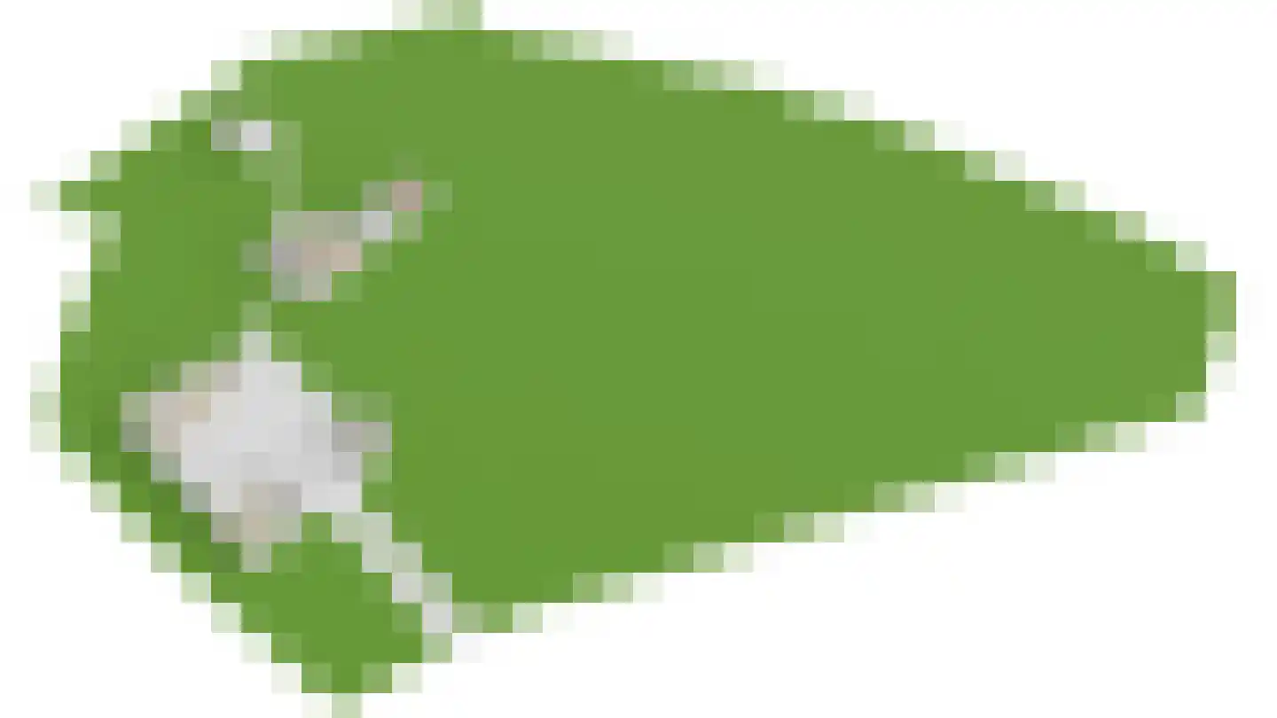 Grensweg 3 Lievelde thumbnail 98