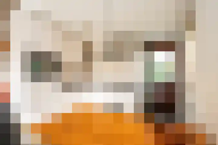 Grensweg 336 Den Burg thumbnail 10