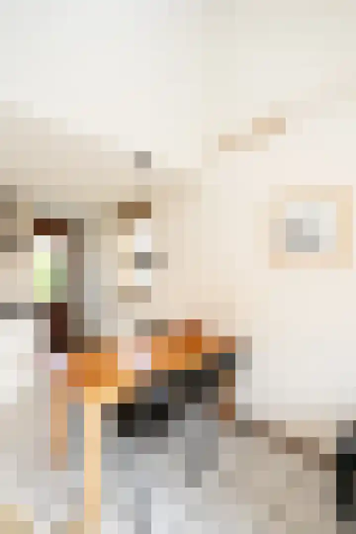 Grensweg 336 Den Burg thumbnail 12