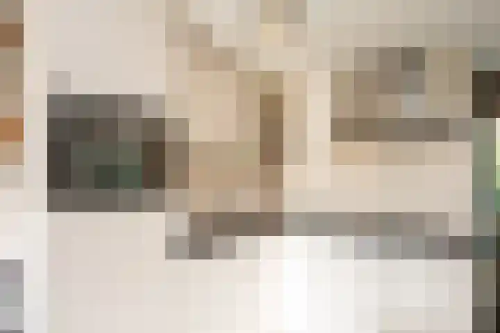 Grensweg 336 Den Burg thumbnail 13