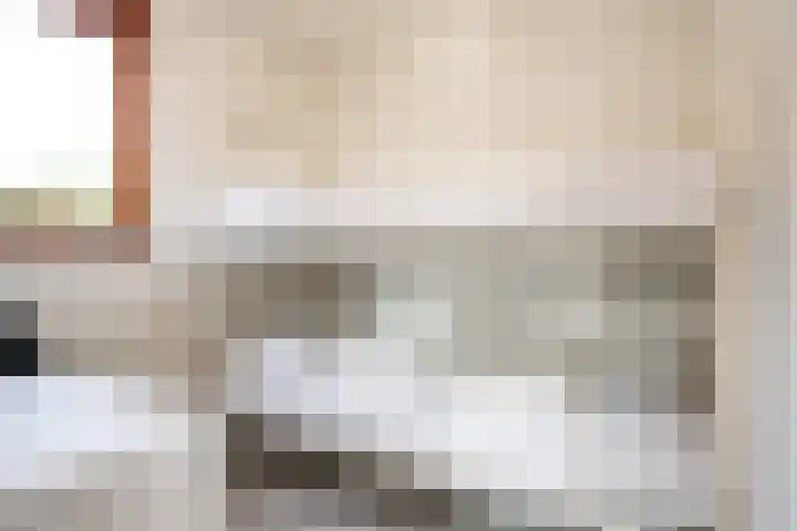 Grensweg 336 Den Burg thumbnail 15