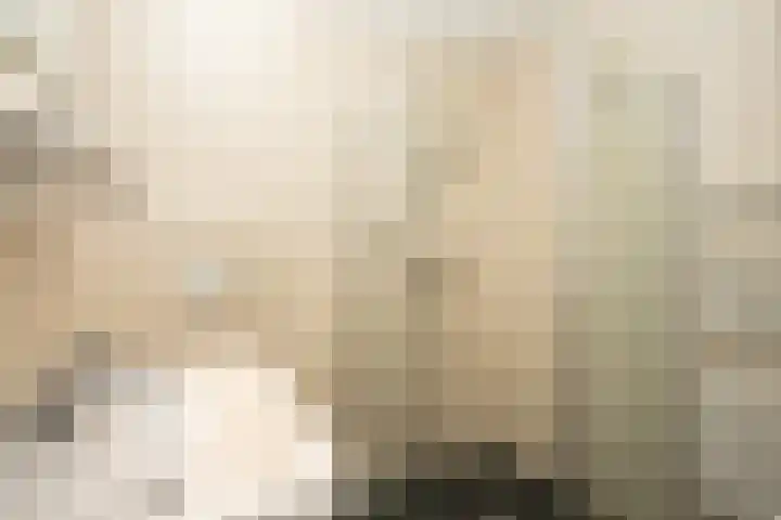 Grensweg 336 Den Burg thumbnail 20