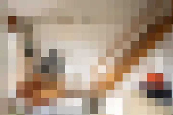 Grensweg 336 Den Burg thumbnail 21