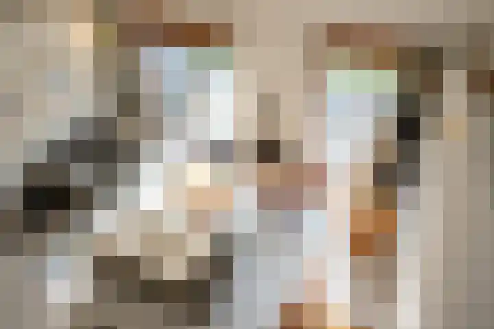Grensweg 336 Den Burg thumbnail 22