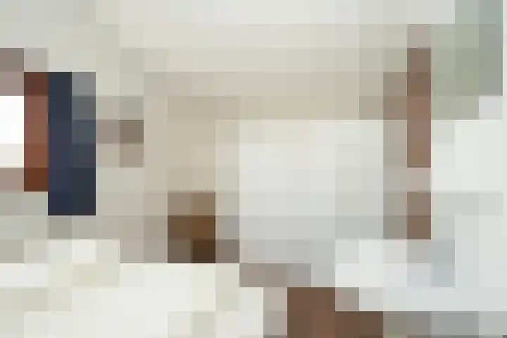 Grensweg 336 Den Burg thumbnail 26