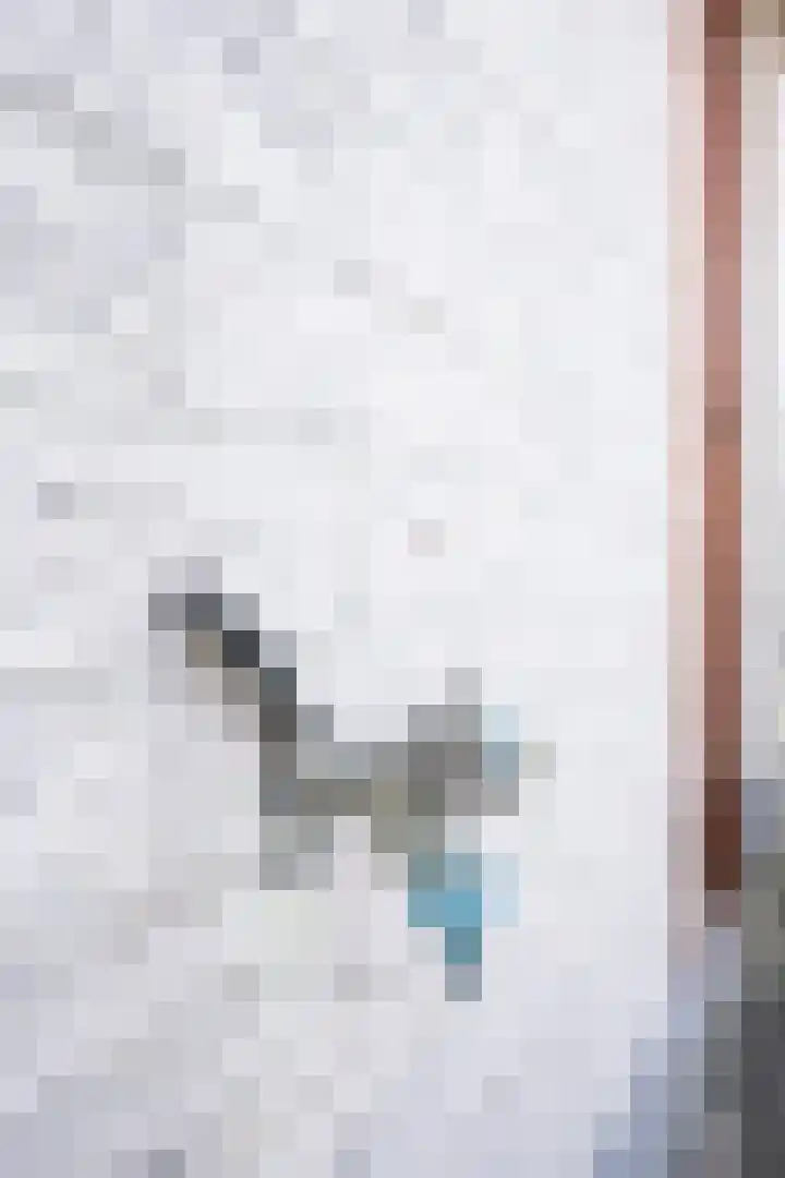 Grensweg 336 Den Burg thumbnail 33