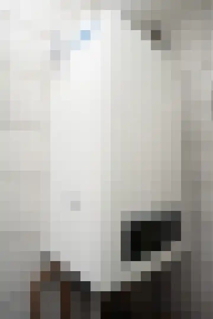 Grensweg 336 Den Burg thumbnail 36