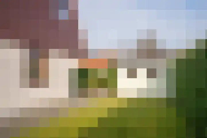 Grensweg 336 Den Burg thumbnail 38