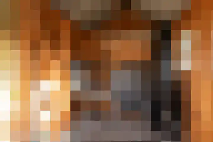 Grensweg 336 Den Burg thumbnail 40