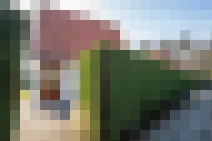 Grensweg 336 Den Burg thumbnail 41