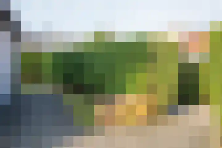 Grensweg 336 Den Burg thumbnail 43