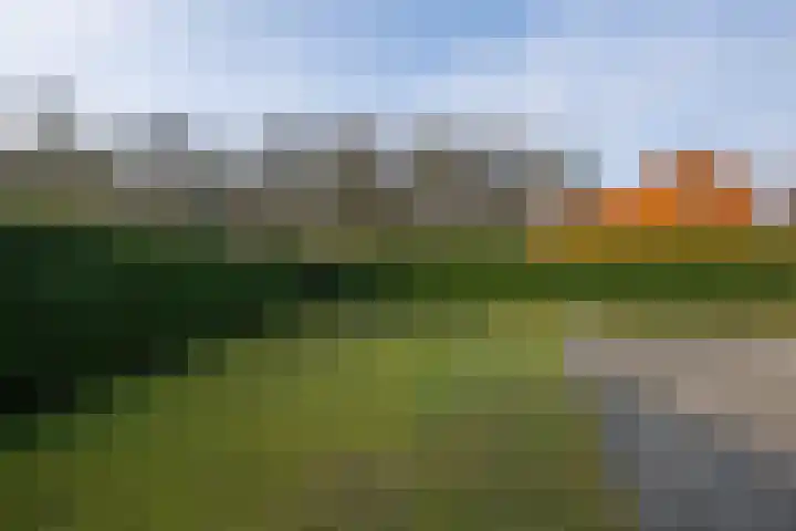 Grensweg 336 Den Burg thumbnail 44