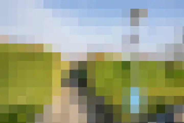 Grensweg 336 Den Burg thumbnail 46