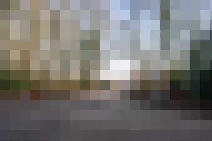 Grensweg 336 Den Burg thumbnail 47