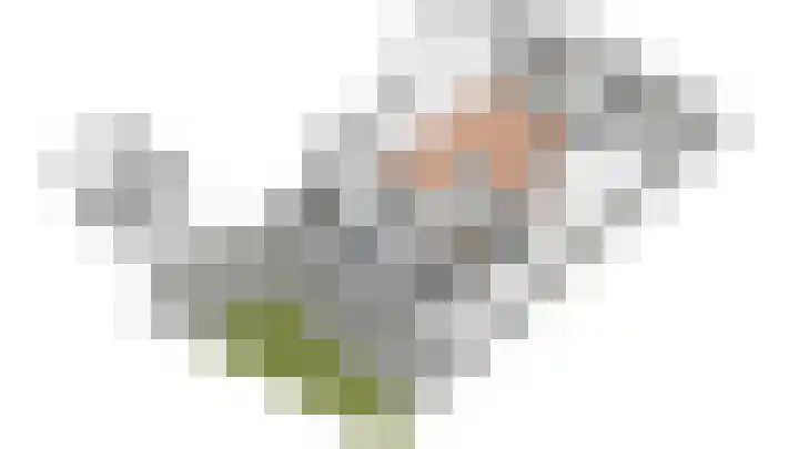 Grensweg 336 Den Burg thumbnail 50