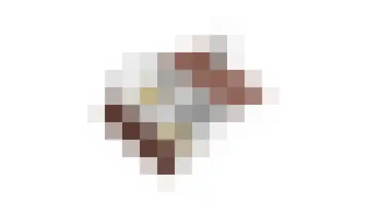 Grensweg 336 Den Burg thumbnail 51