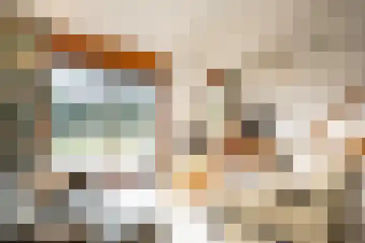 Grensweg 336 Den Burg thumbnail 6