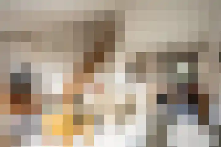 Grensweg 336 Den Burg thumbnail 7