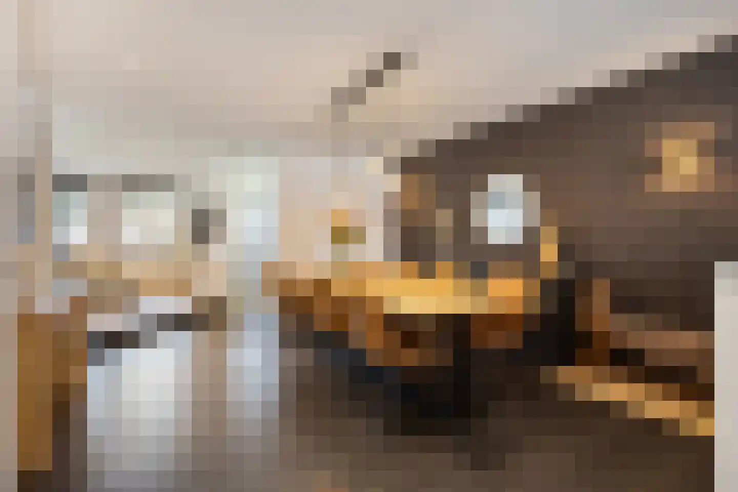 Grensweg 34 Baarle-Nassau thumbnail 4