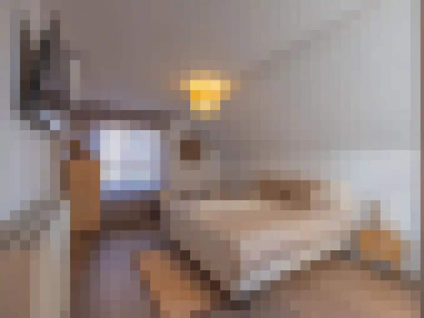 Grensweg 3960 Bree Stramproy thumbnail 12