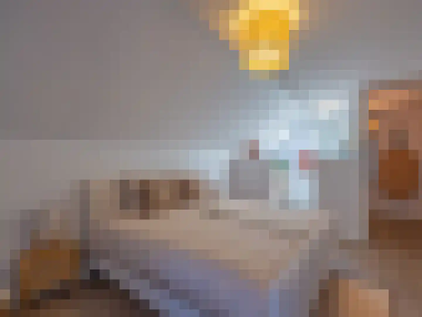 Grensweg 3960 Bree Stramproy thumbnail 13
