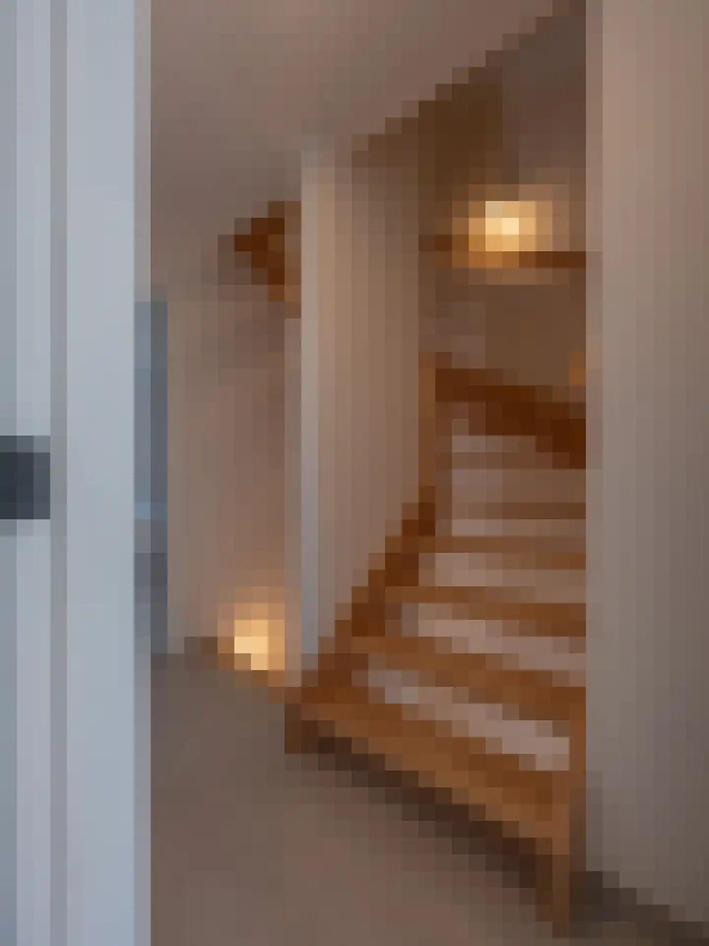 Grensweg 3960 Bree Stramproy thumbnail 14