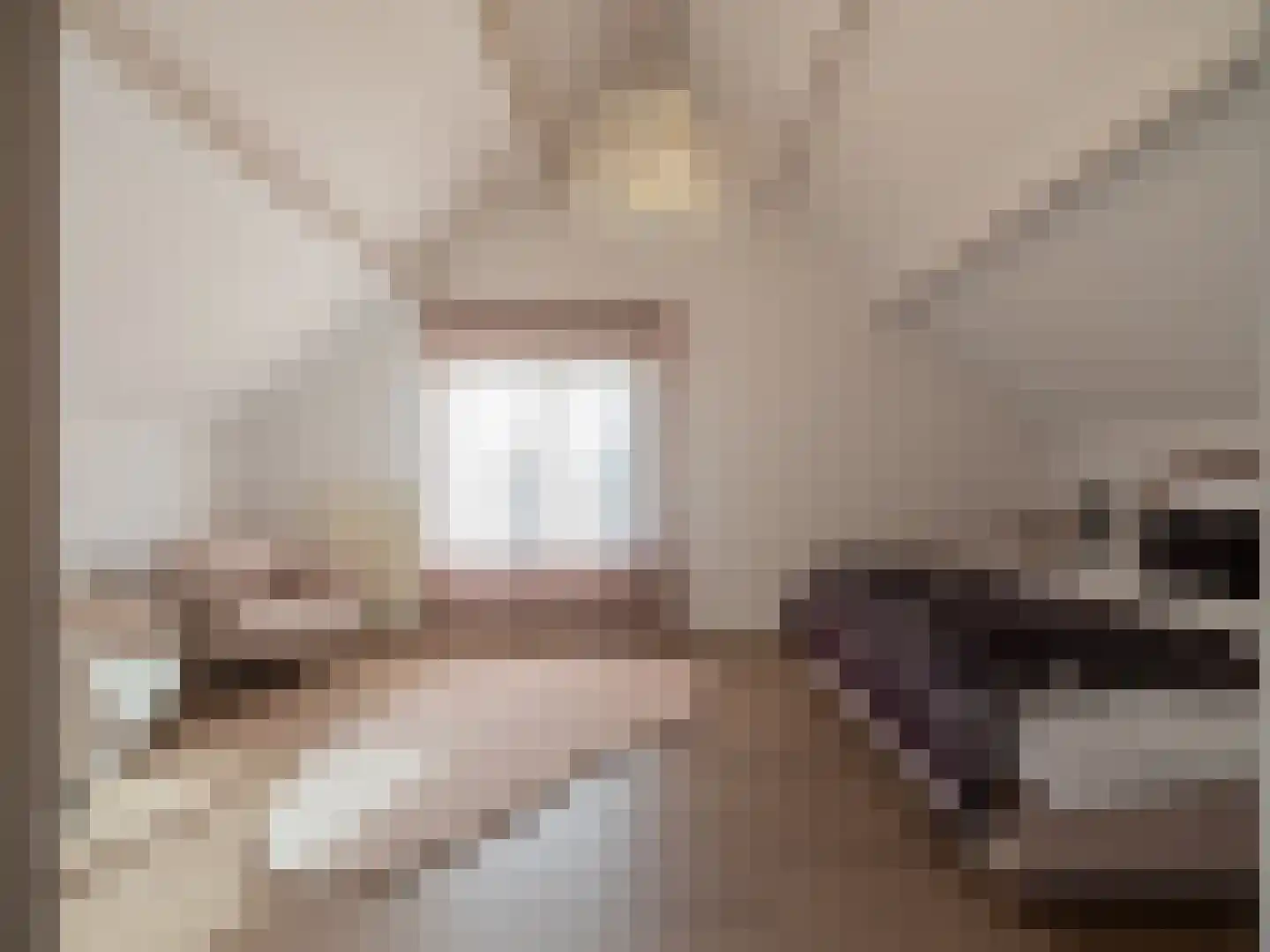 Grensweg 3960 Bree Stramproy thumbnail 19